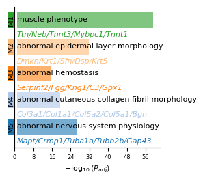 ../_images/tutorials_Tutorial_1_Stereo-seq_MOSTA_E16_5_E2S5_15_0.png