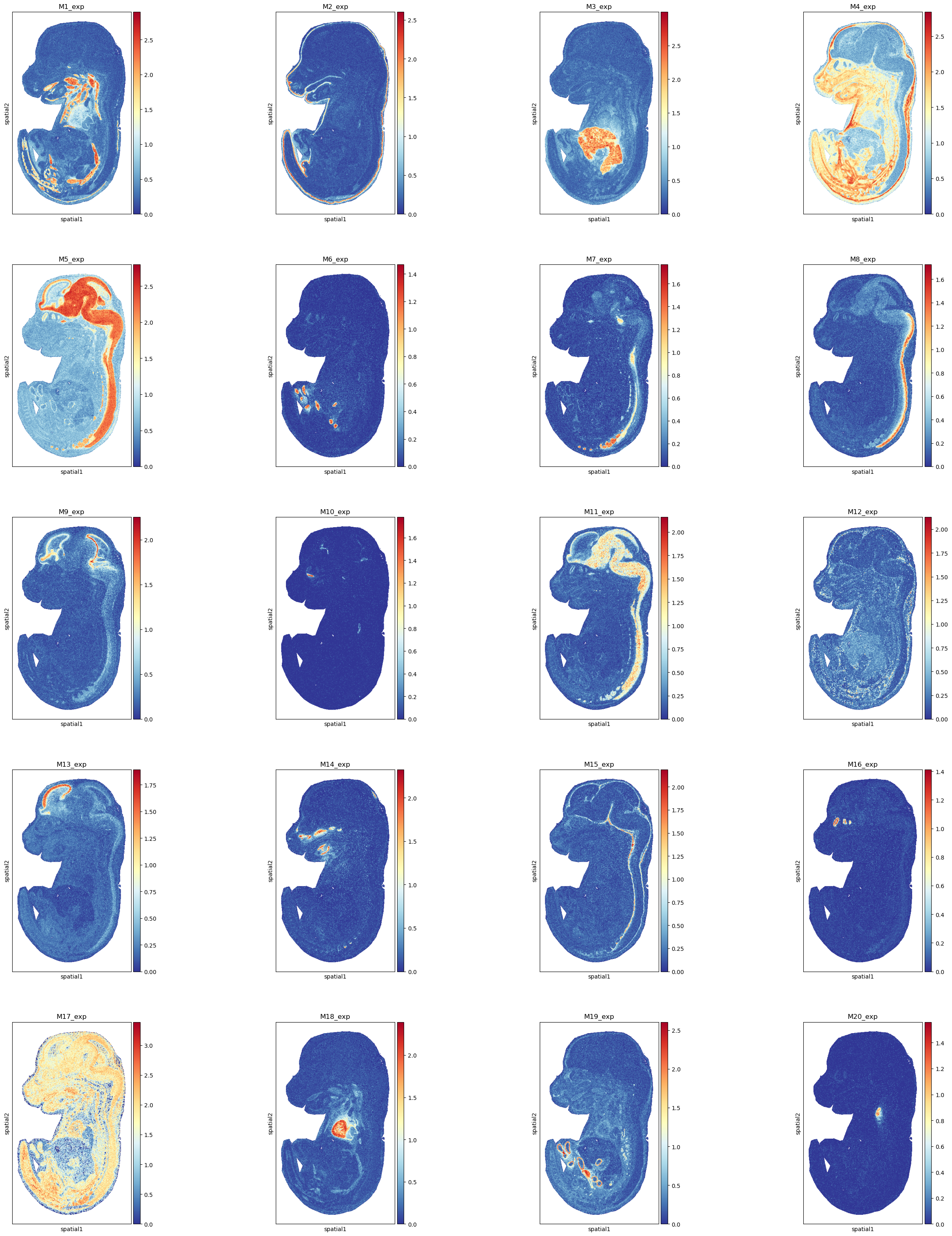 ../_images/tutorials_Tutorial_1_Stereo-seq_MOSTA_E16_5_E2S5_23_0.png
