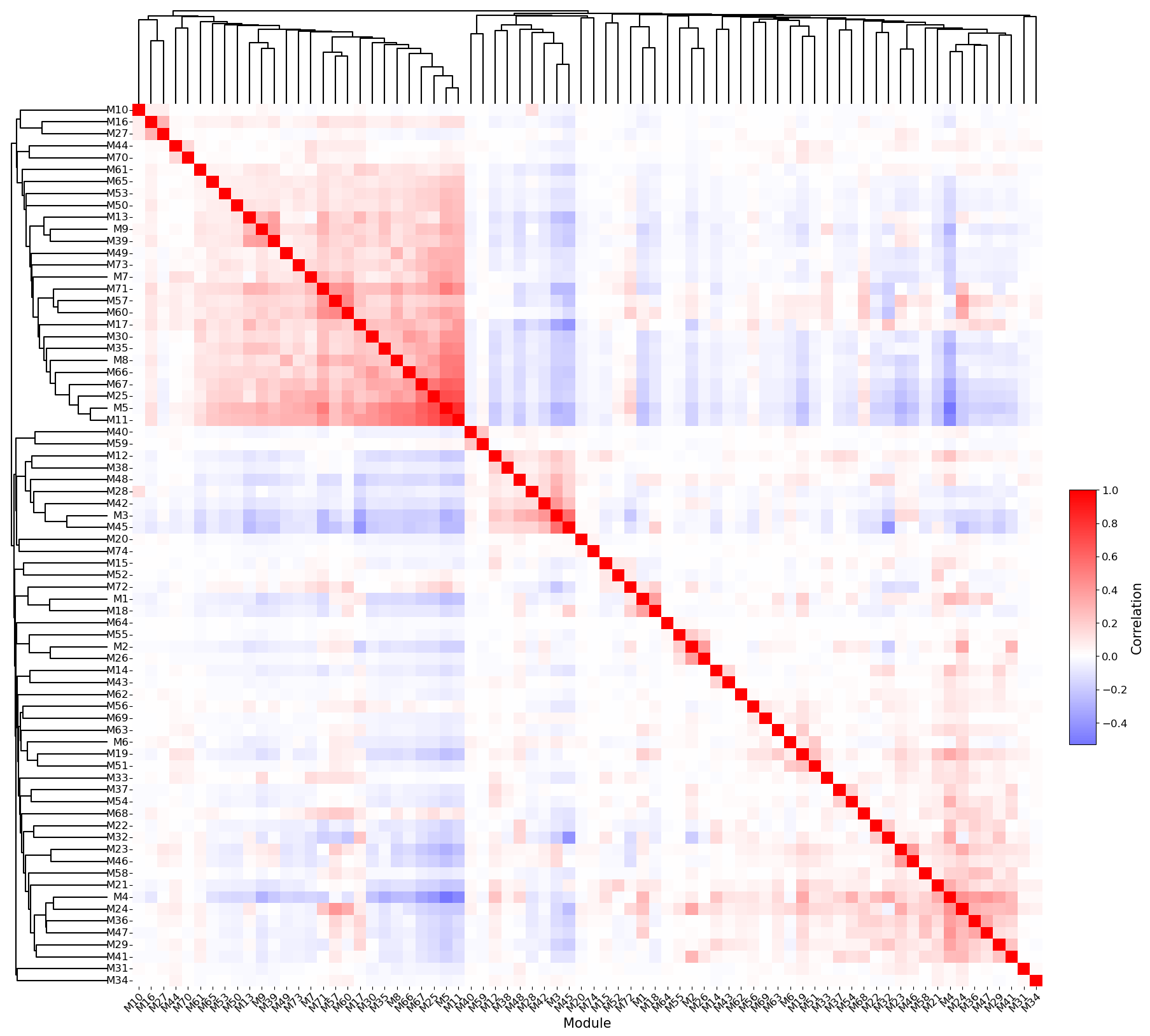 ../_images/tutorials_Tutorial_1_Stereo-seq_MOSTA_E16_5_E2S5_24_0.png