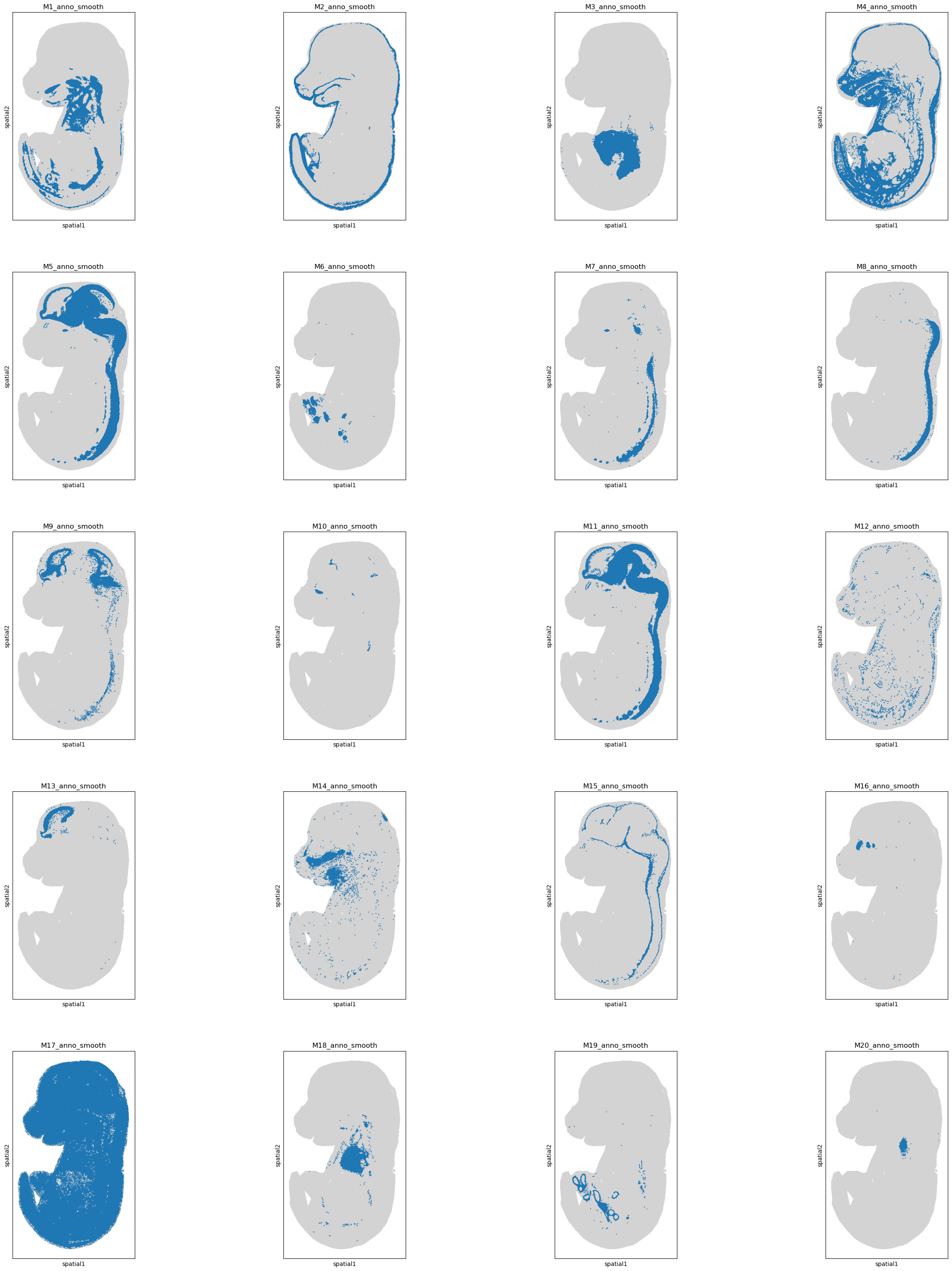 ../_images/tutorials_Tutorial_1_Stereo-seq_MOSTA_E16_5_E2S5_27_0.png