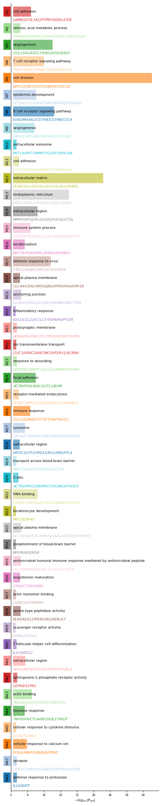 ../_images/tutorials_Tutorial_2_Visium_HD_Human_Tonsil_15_0.png