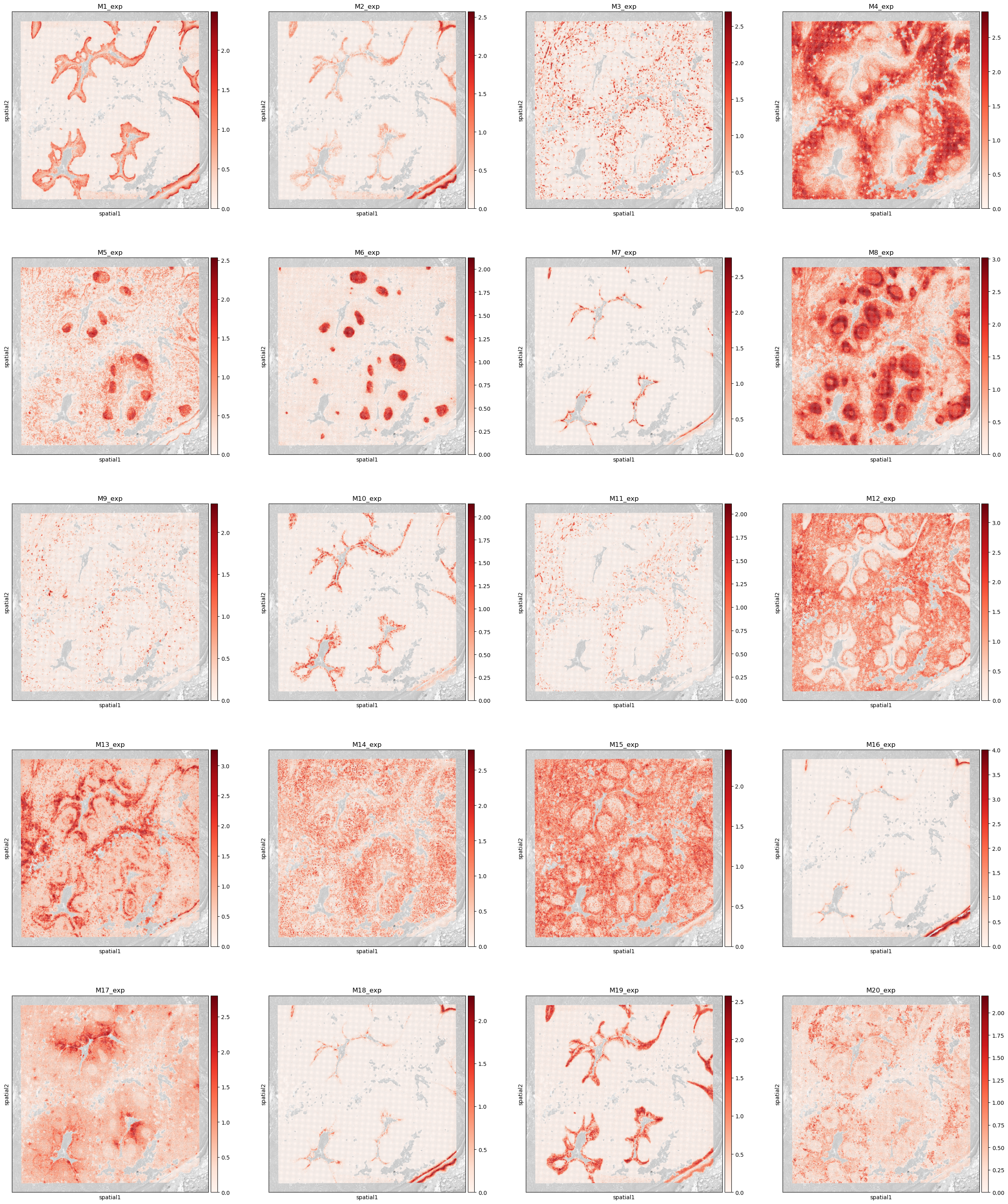 ../_images/tutorials_Tutorial_2_Visium_HD_Human_Tonsil_21_0.png