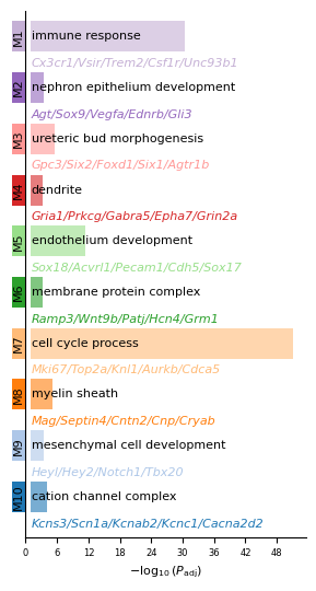 ../_images/tutorials_Tutorial_3_Xenium_Prime_5K_Mouse_Brain_14_0.png
