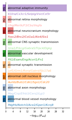 ../_images/tutorials_Tutorial_3_Xenium_Prime_5K_Mouse_Brain_16_0.png