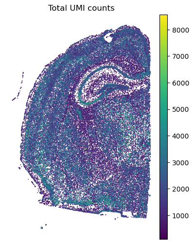 ../_images/tutorials_Tutorial_3_Xenium_Prime_5K_Mouse_Brain_7_0.png