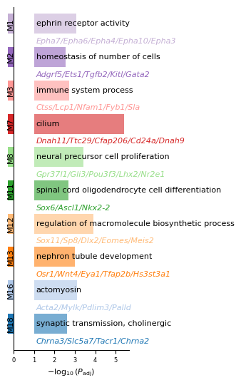 ../_images/tutorials_Tutorial_4_MERFISH_Mouse_Brain_14_0.png