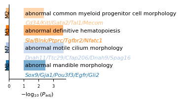 ../_images/tutorials_Tutorial_4_MERFISH_Mouse_Brain_16_0.png