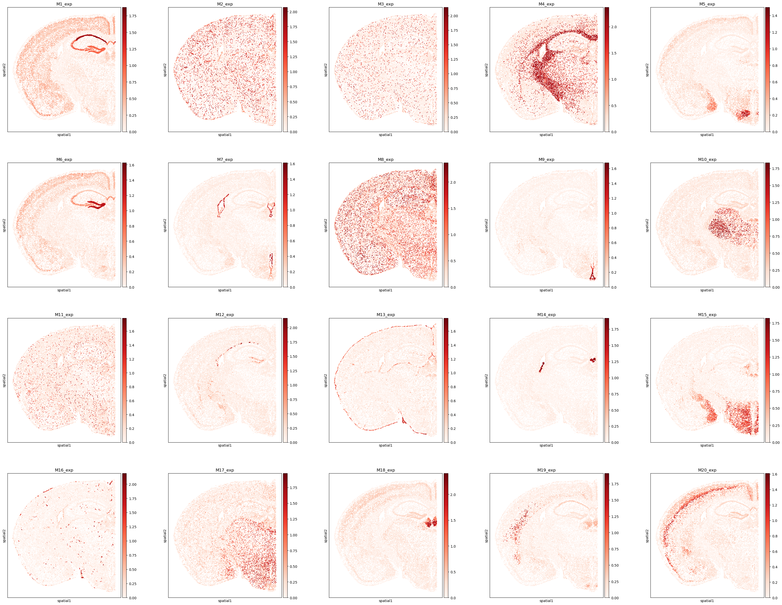 ../_images/tutorials_Tutorial_4_MERFISH_Mouse_Brain_21_0.png