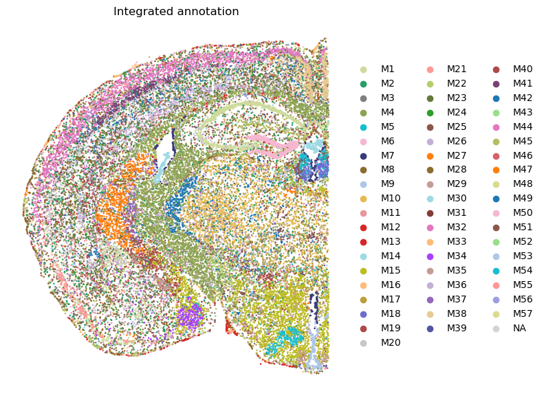 ../_images/tutorials_Tutorial_4_MERFISH_Mouse_Brain_27_0.png